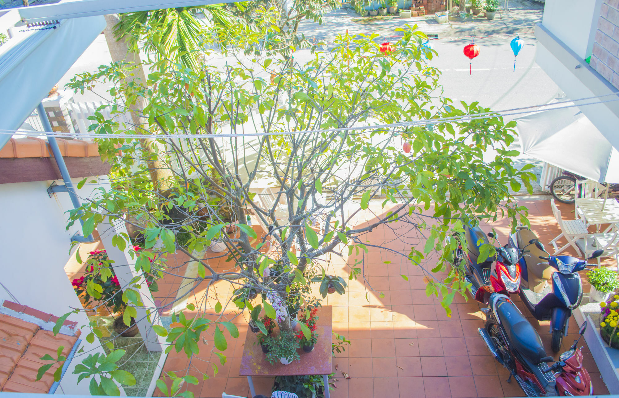 Halo Homestay Hoi An Exteriér fotografie